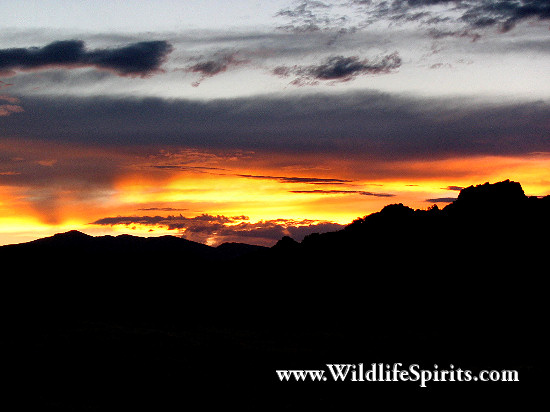 Click Picture to send as an  E-PostCard 66k 550x412